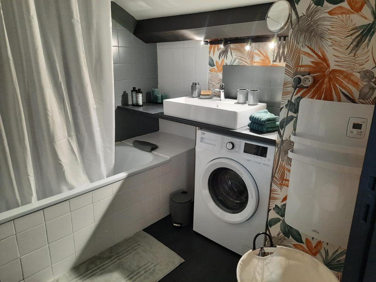 Superbe Appartement Pour 2, Au Coeur De L'Ariege! Ussat 外观 照片